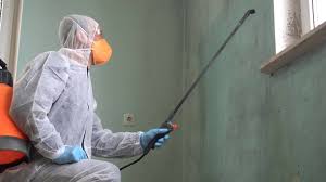 Why You Should Choose Our Mold Remediation Services in Bangor Base, WA